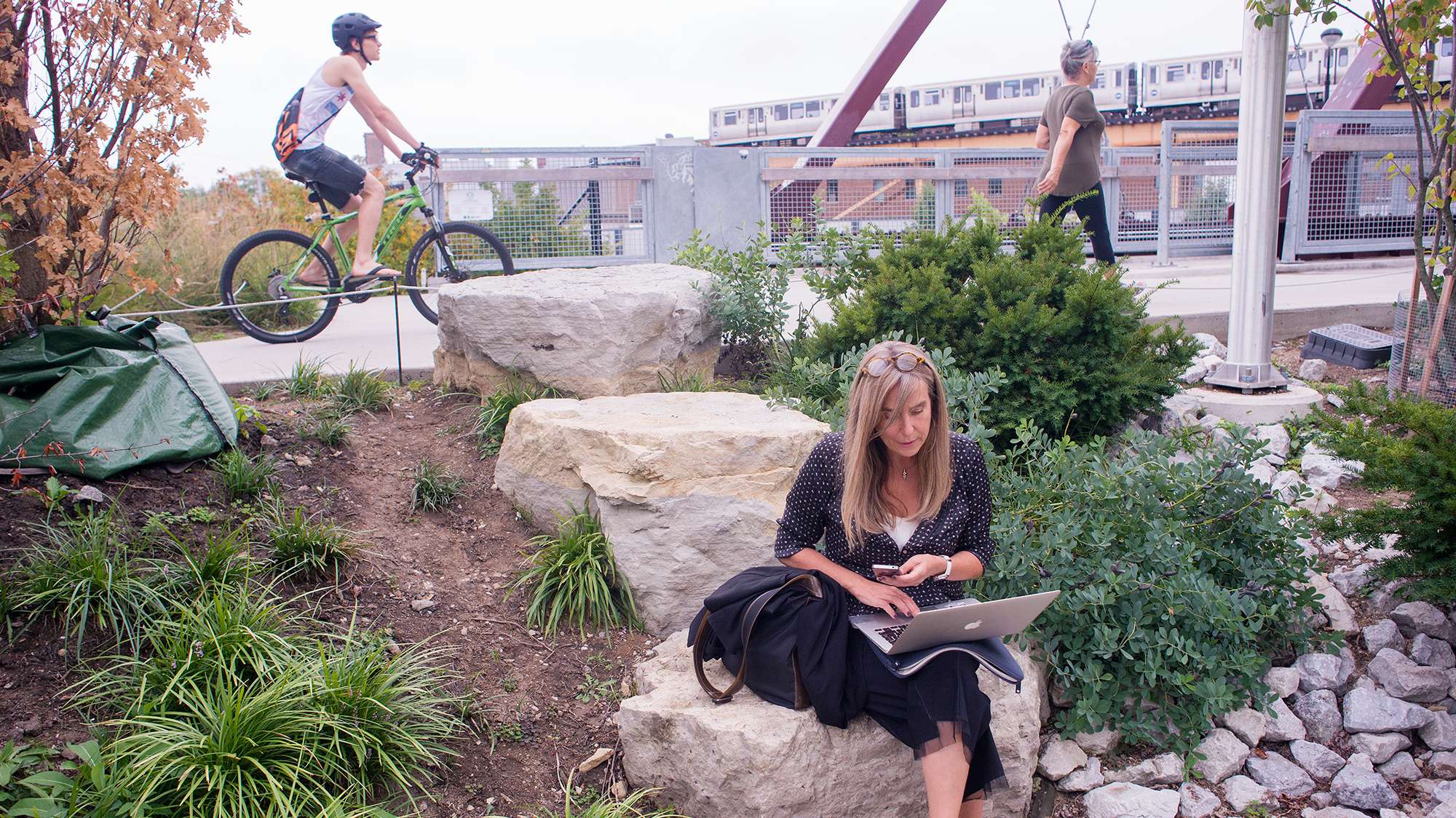 A park in Chicago.
