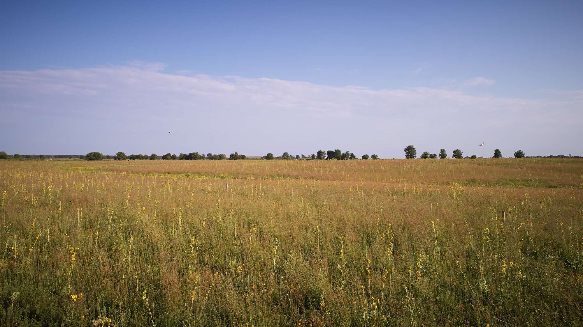 Will county open space.